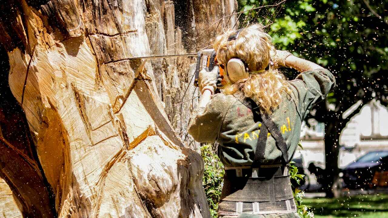 Best Tree Trimming Near Me  in Kemah, TX